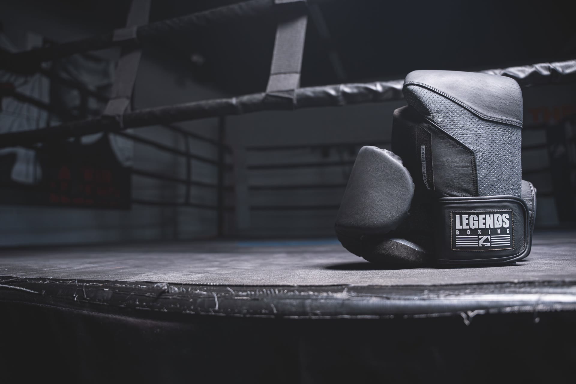Legends Boxing Gear